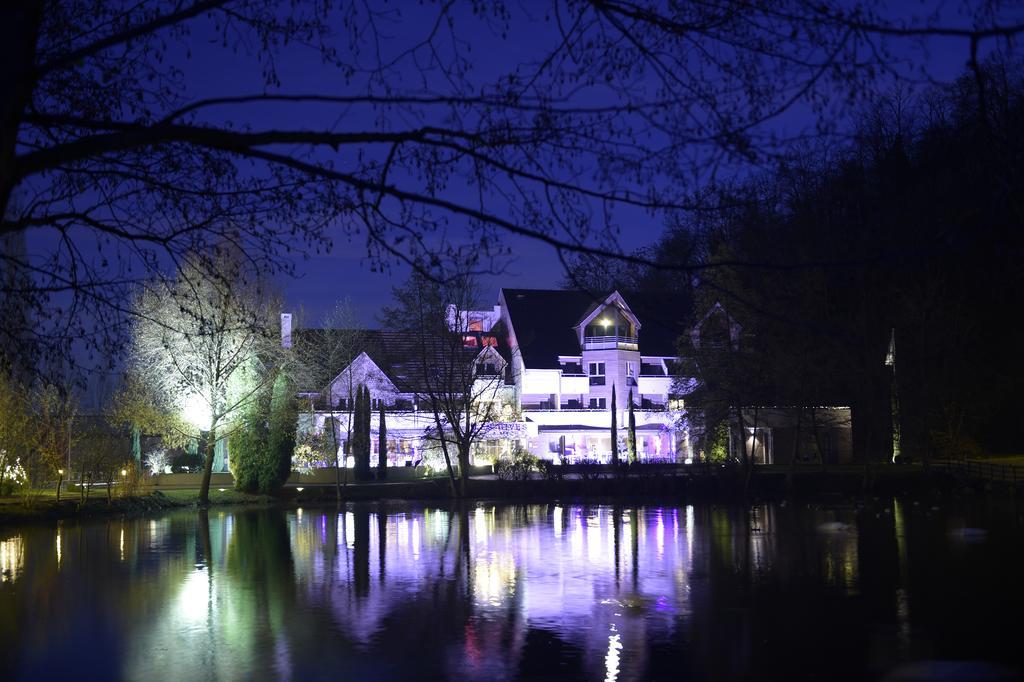 Hotel Les Rives Гебвиллер Экстерьер фото