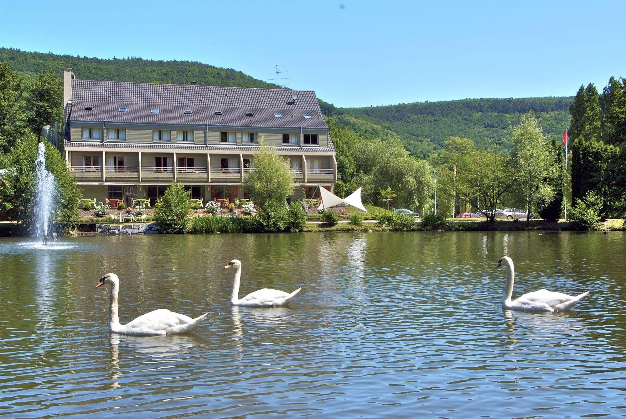 Hotel Les Rives Гебвиллер Экстерьер фото
